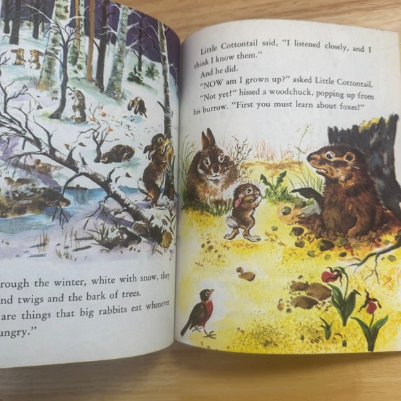Little Golden Book Little Cottontail Vintage Childrens Book 1980 Edition - Picture 4 of 6